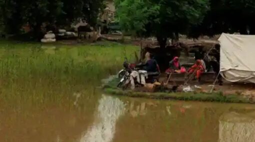 Pakistan floods cholera 