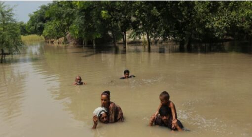 Monsoon crisis 