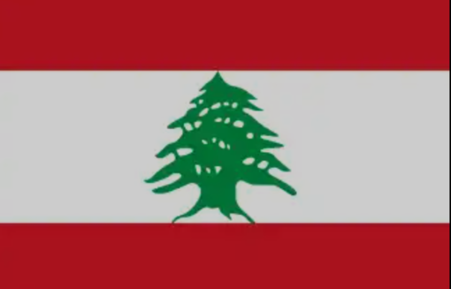 Lebanon seeks US support 