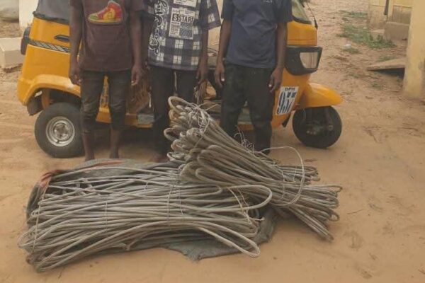 Police arrest three suspects, recover power cables, tricycle in Yobe